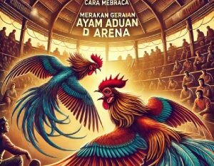 Cara Membaca Gerakan Ayam Aduan di Arena